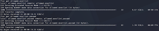 Files found on FTP server