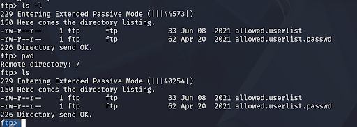 FTP enumeration